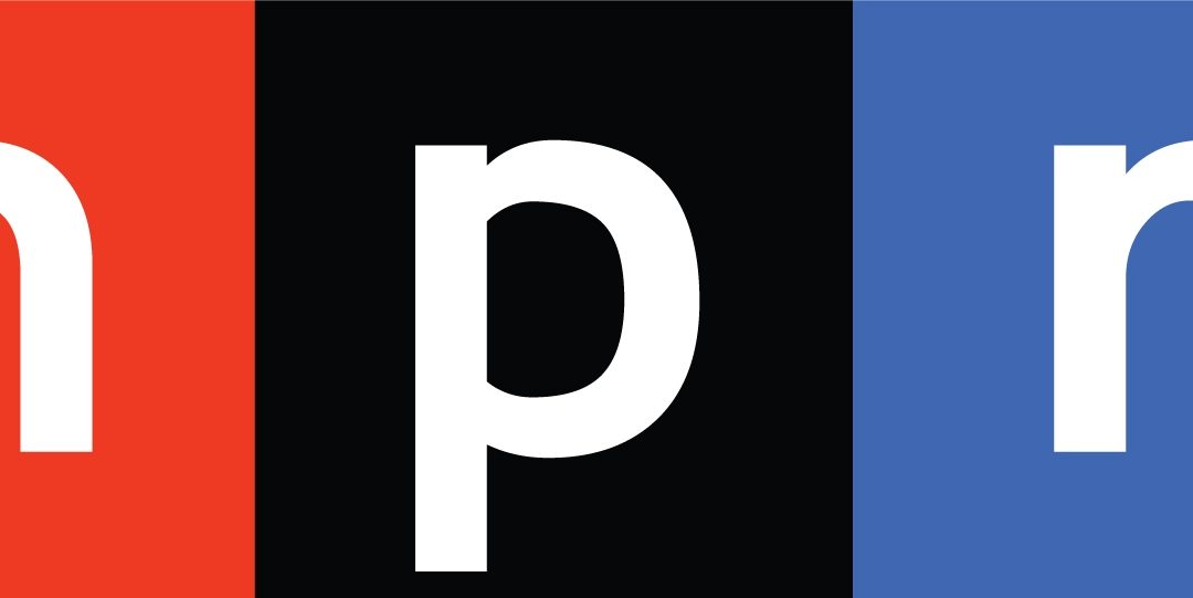 College Horizons featured on NPR national news show!